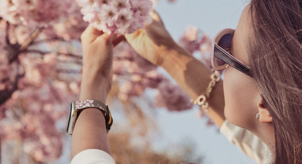 Floral Frenzy Season 2