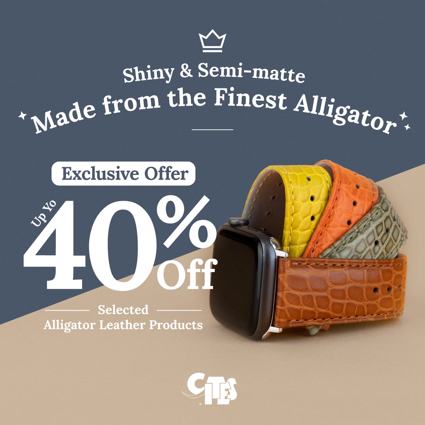 Alligator Leather Goods Special Promotion